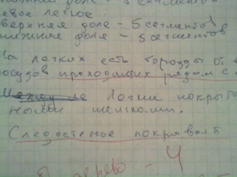 Марина Рысь Дмитриевна | 