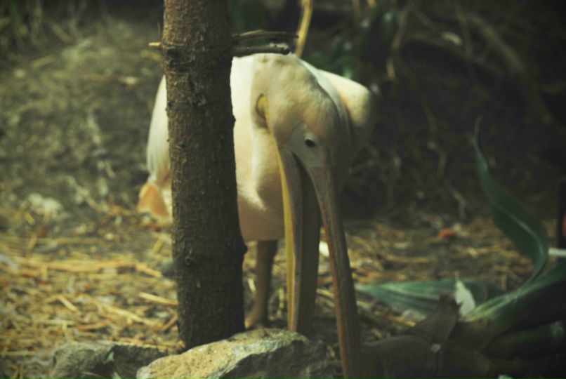 Дима Назаров | Запорожье