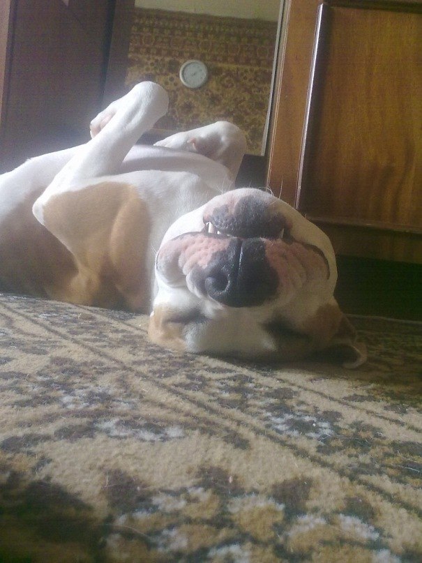 Валюха Осипчук | Киев