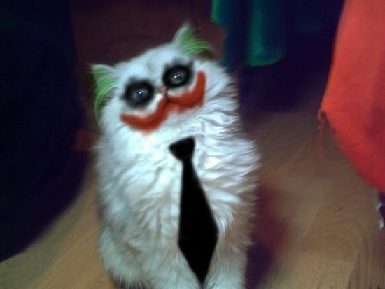 Саша Голощапенко | Москва