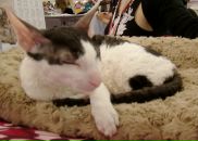 №4 Марина Желтова 24.09.1986: профиль, фото, статус - ВКонтакте №4 Марина Желтова 24.09.1986: профиль, фото, статус - ВКонтакте