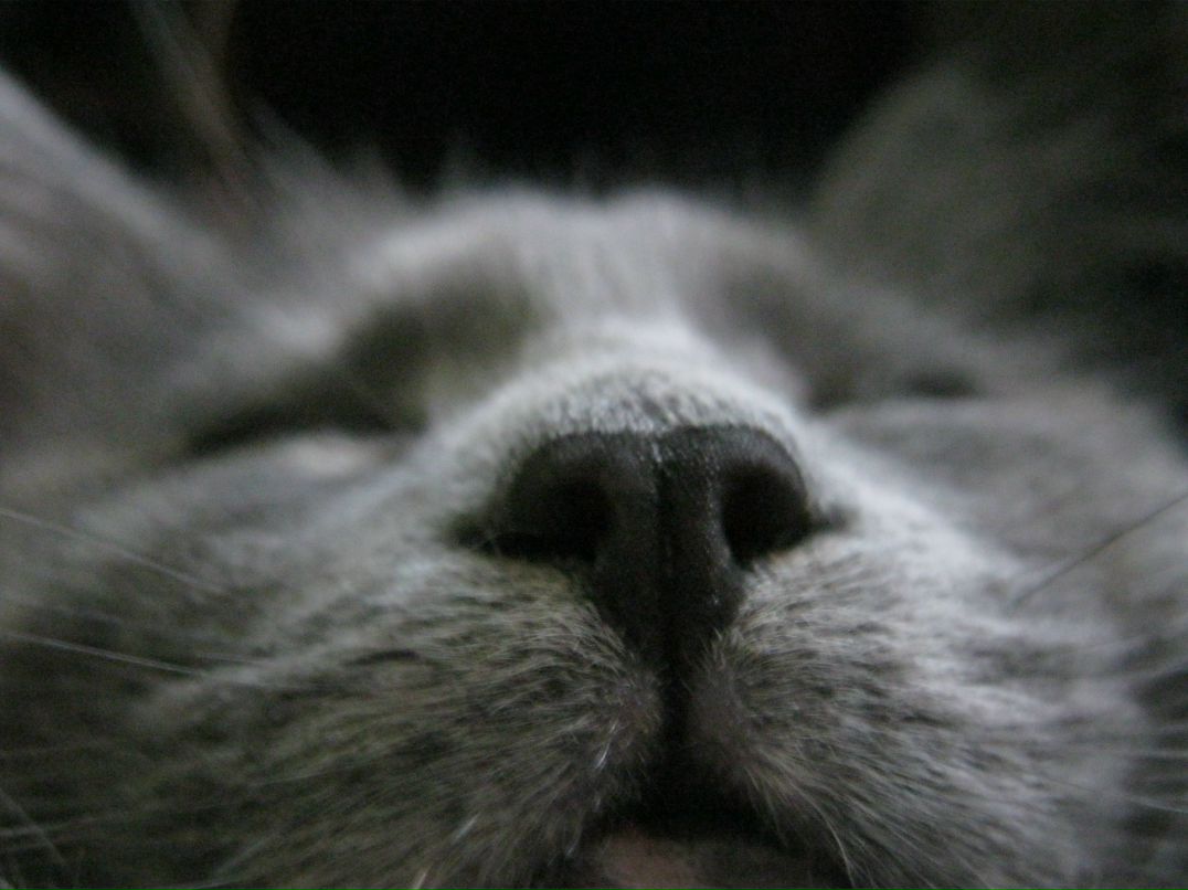 Юлия Швец | Харьков