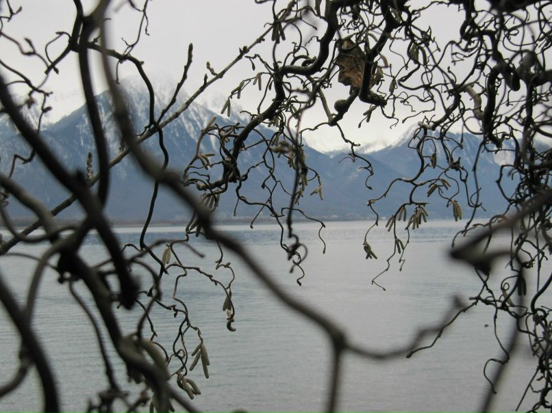 Марина Ботыгина (Кондакова) | 