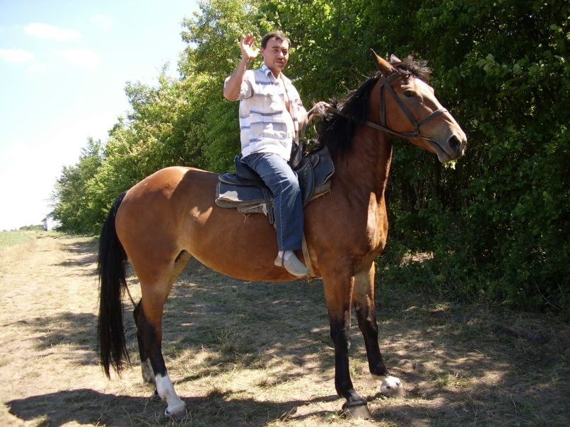 Дмитрий Могилкин Павлович | Славянск-на-Кубани