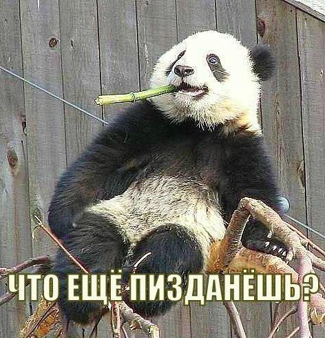 Владимир Смирнов | 