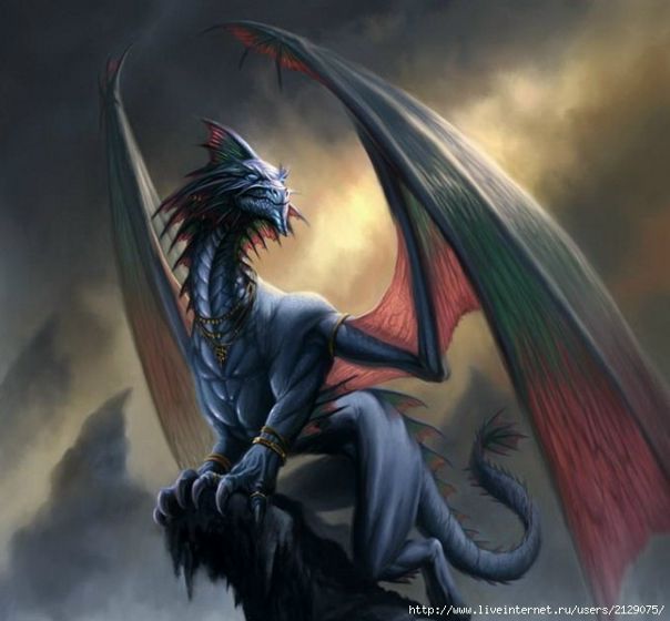 №7, Cfif Lejdbr, Житомир №7, Cfif Lejdbr, Житомир