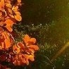 №25, Наталья Аджигитова, 58 лет, Астана №25, Наталья Аджигитова, 58 лет, Астана