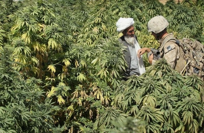 Дмитрий Астахов | Новосибирск