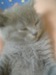 Даниил Гааг фотография #27 (источник - https://vk.com/id140743511)