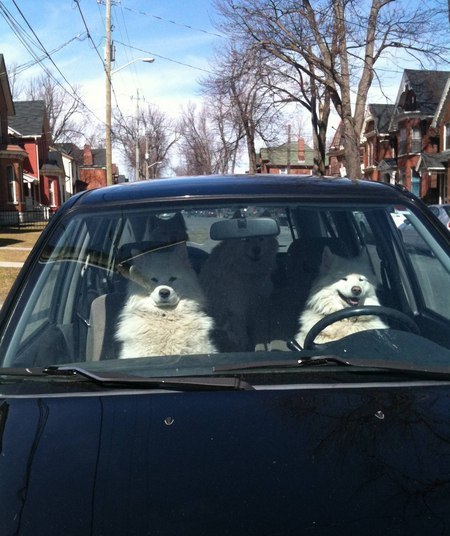 Николай Циота | Запорожье