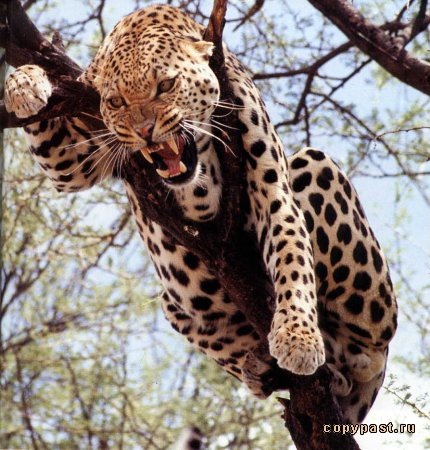 №123, Наталья Кравченко, Москва №123, Наталья Кравченко, Москва