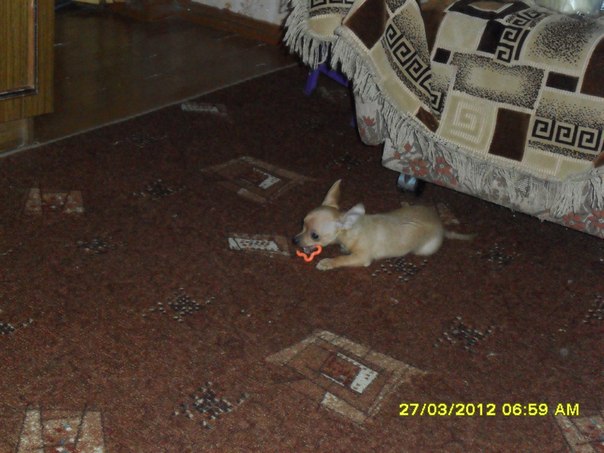 №90, Олеся Семакова, Северодвинск №90, Олеся Семакова, Северодвинск