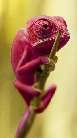 Татьяна Скворцова | Минск