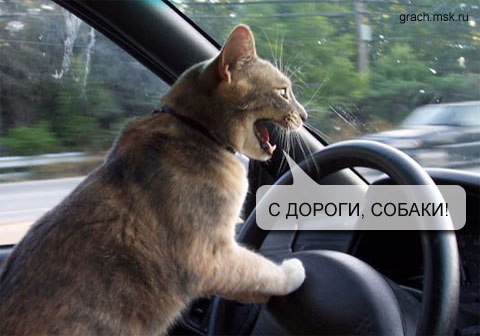 Элина Сазанова | Мурманск