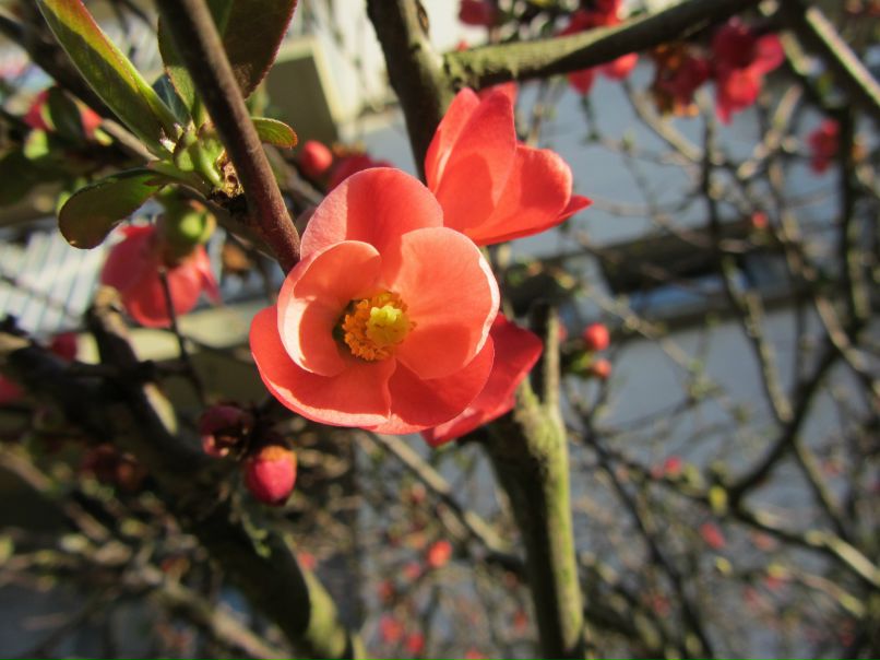 Настя Наместникова | Ярославль