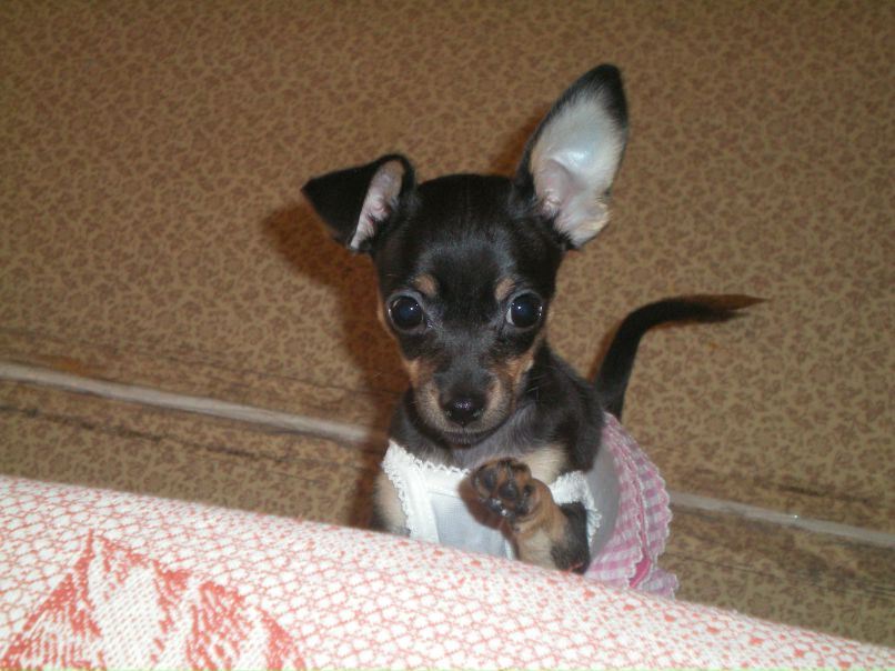 Наталья Демидова | Тюмень