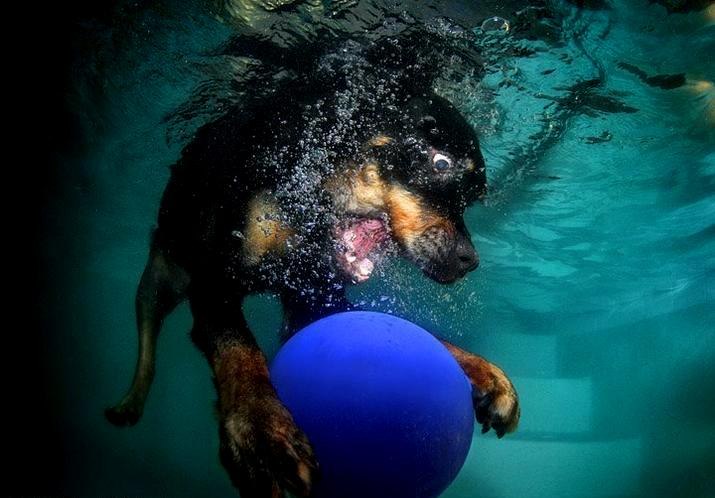 Дмитрий Литовко | Киев