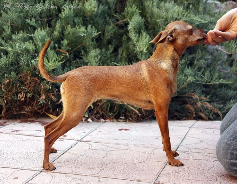 Ирчелл Ткачёва SCHöN | Симферополь