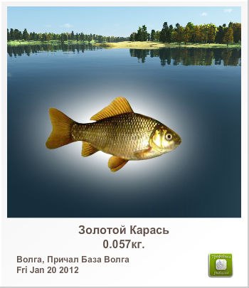 Иван Русаков | Владивосток