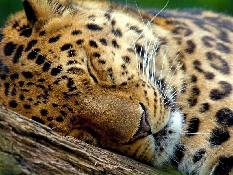 Лилия Третьякова | Москва