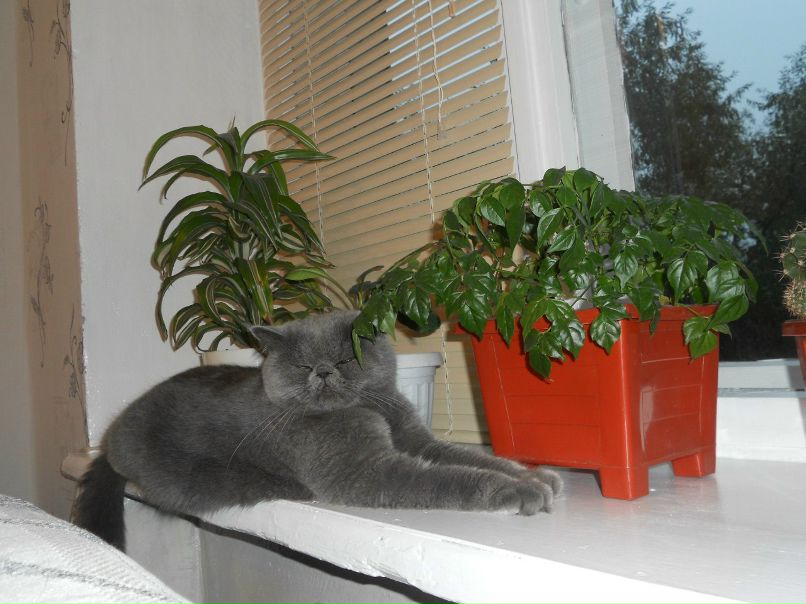 Екатерина Исрафилова | Екатеринбург