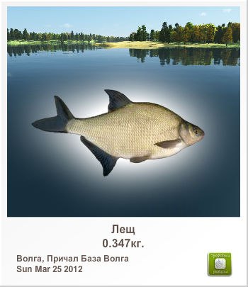 Дима Иванов ЕлЕкТрОнИк | Пермь