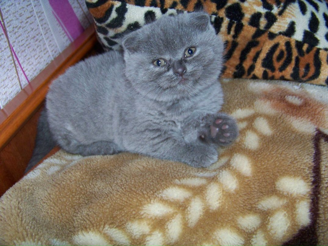 Екатерина Филюк | Запорожье