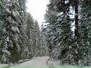 Фотография Денис Лабуткин