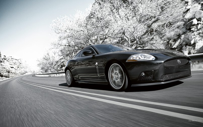 Евгений Бегдаш | Симферополь