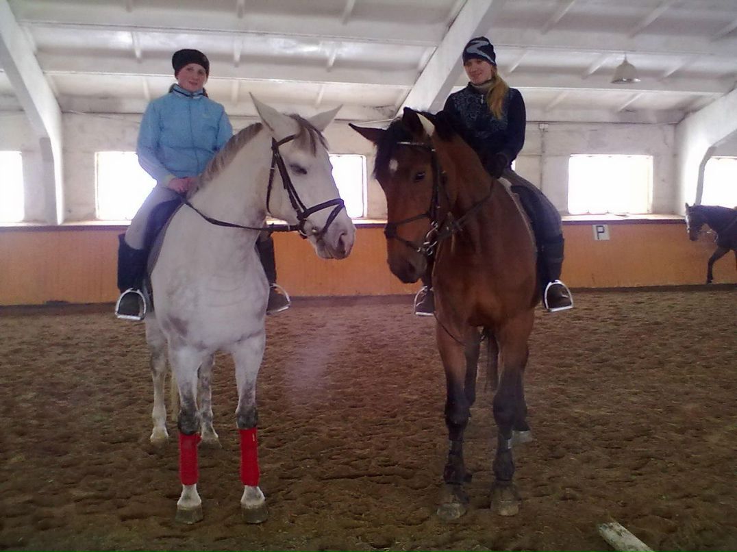 Елена Манулик | Минск