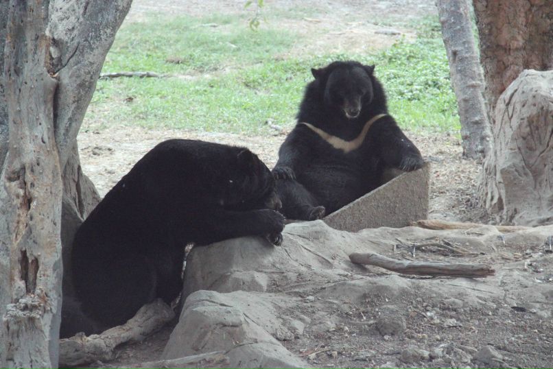 Елена Зносок | Нижний Новгород