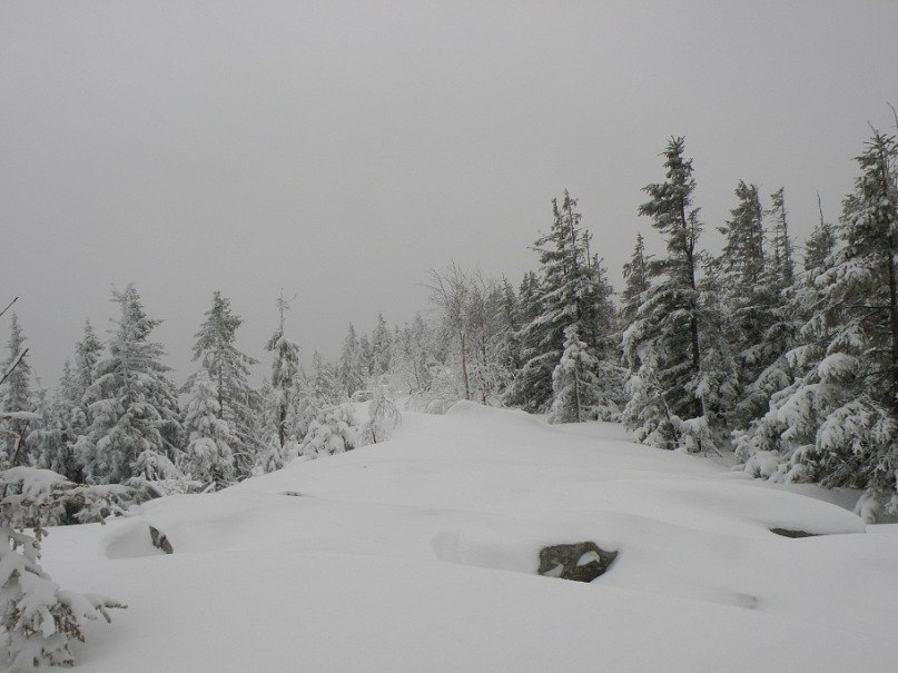 Наталія Тацишин-Войчишин | Ивано-Франковск
