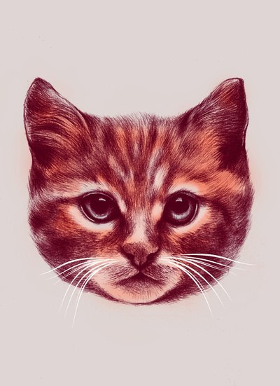 Гулимдан Кадырова | Симферополь