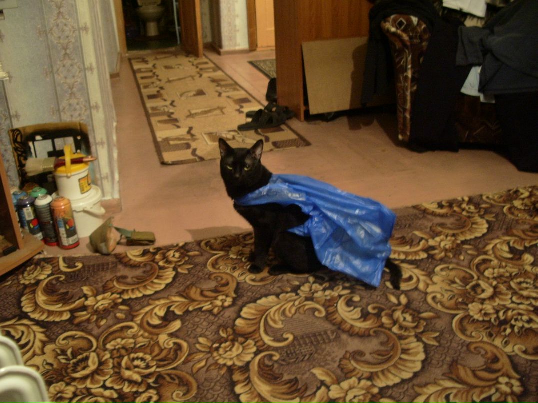 Виталя Никифоров Павлович | Хабаровск