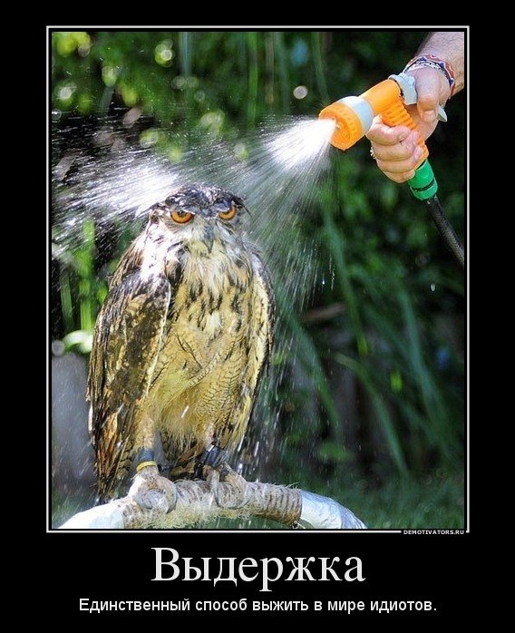 Виктор Маркевич | Москва