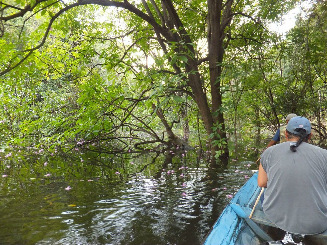 Булат Беккин | Москва