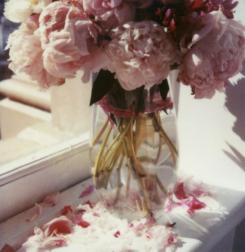 Анна Дядик | 