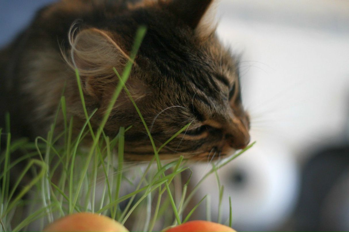 Евгений Владимирович | Североонежск