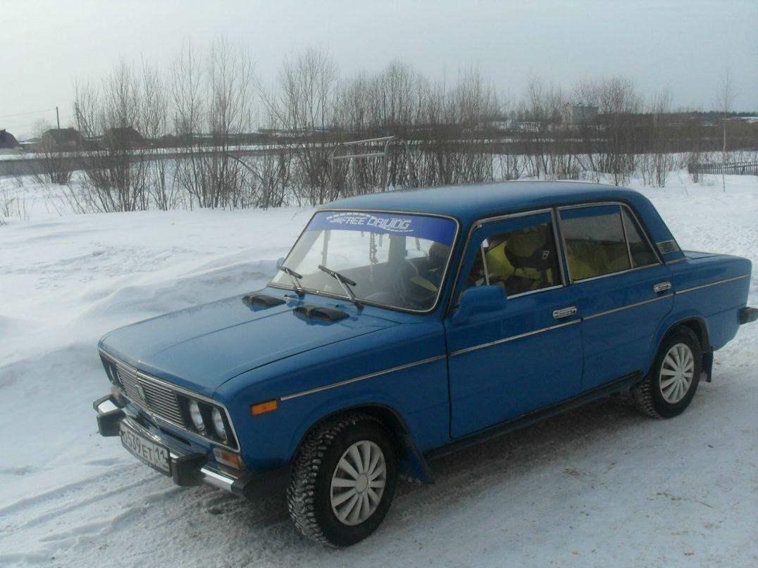 Ромашка Попов | Сыктывкар