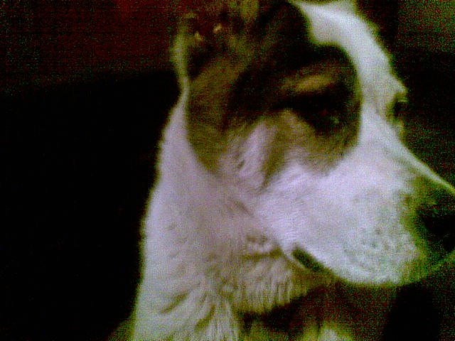 Сергей Рыжый | Запорожье