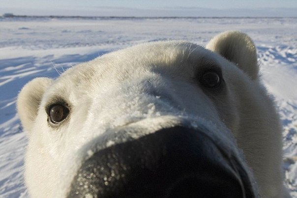 Антон Еремин | Москва