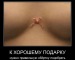 Зарина Зарина фотография #5 (источник - https://vk.com/id60382085)