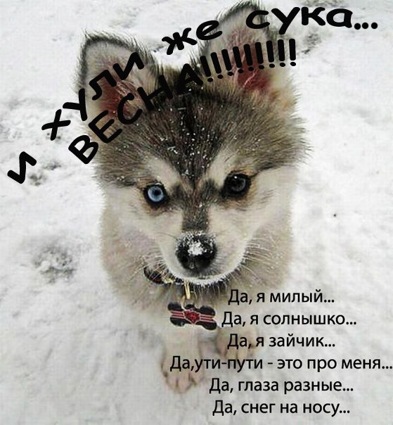 Владислав Минор | 