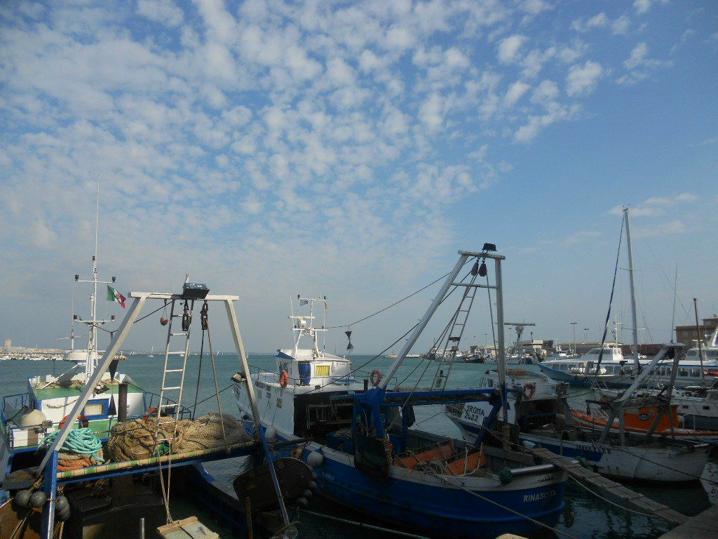 Лилия Авраменко | Киев