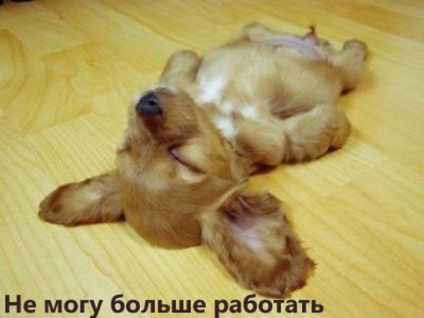 Екатерина Гришина ♥ ice heart ♥ | Москва