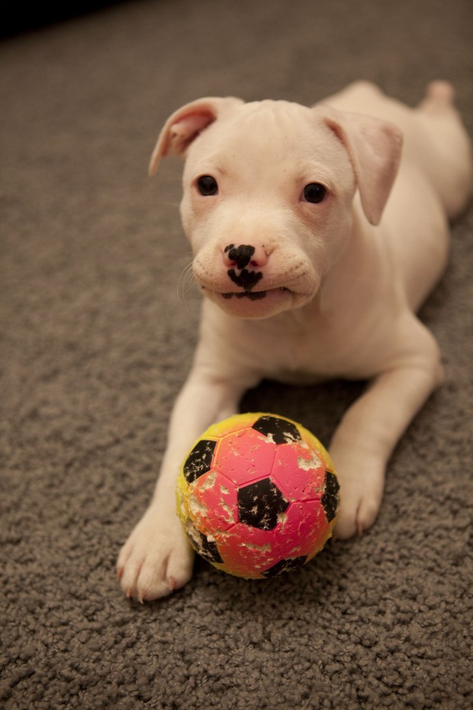 Цой Илья ϟ Tsoy ϟ | Санкт-Петербург