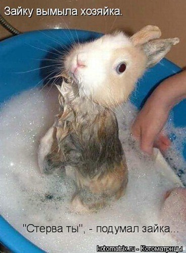 №15, Света Патрушева №15, Света Патрушева