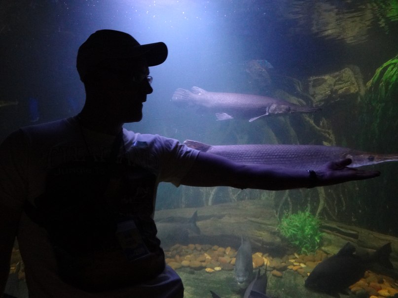 Алексей Семенов | Боровичи