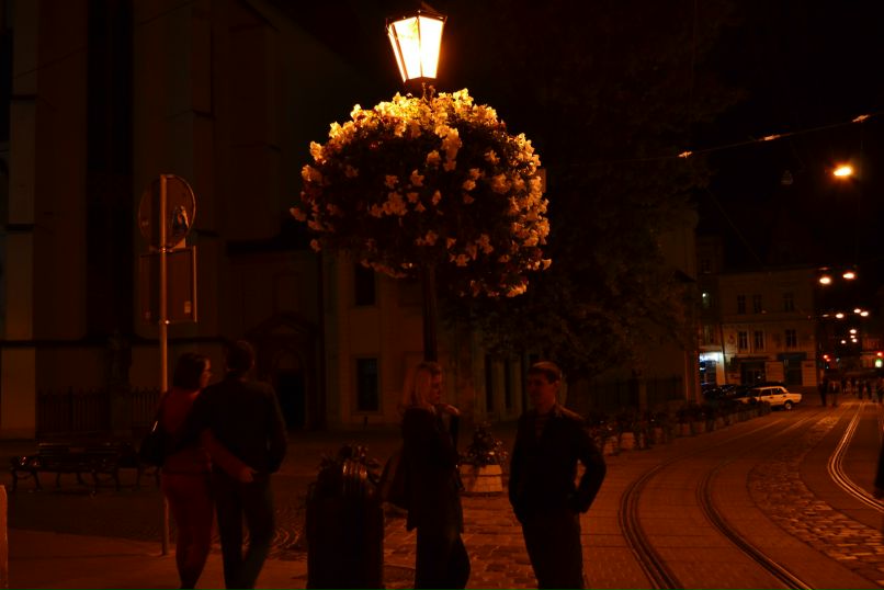 Олександр Стецюк Вікторович | Львов