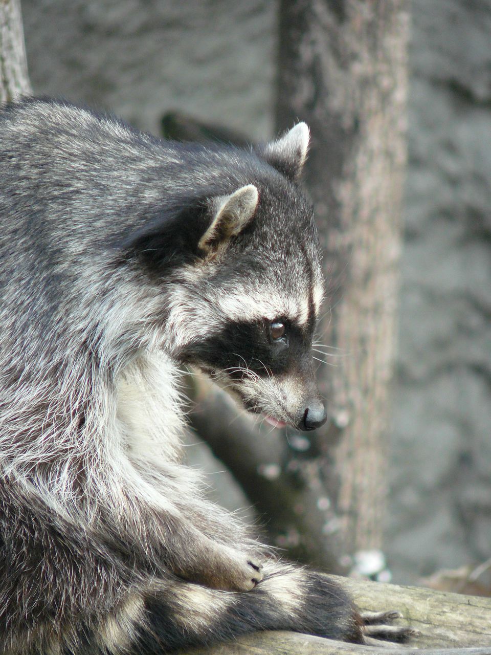 Илья Романов | just | | Москва